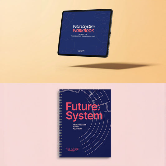 Bundle Future:System + Workbook