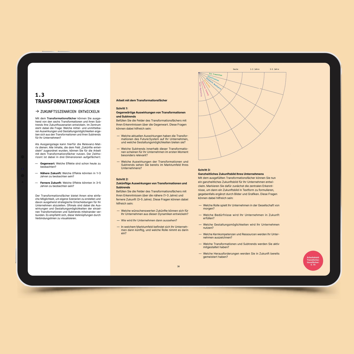 Workbook Future:System – Methoden zur transformativen Zukunftsgestaltung