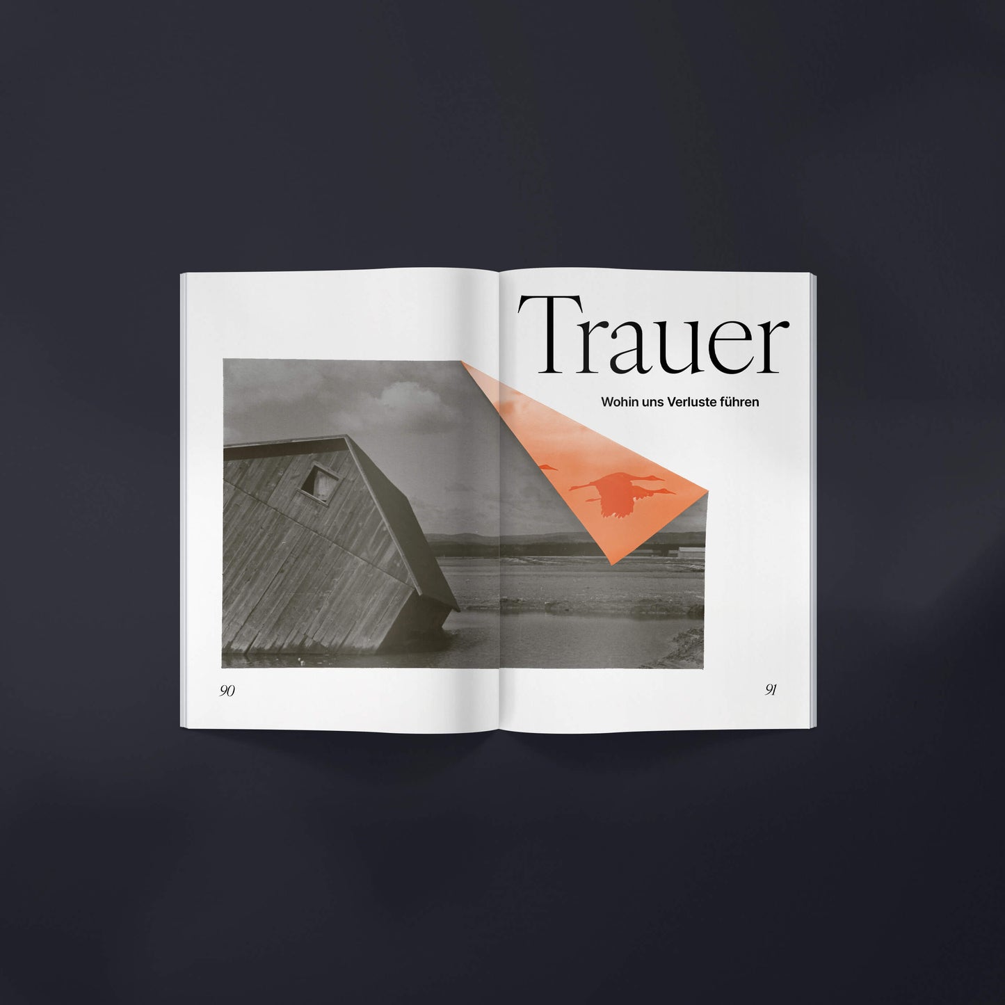 Schönheit der Umbrüche